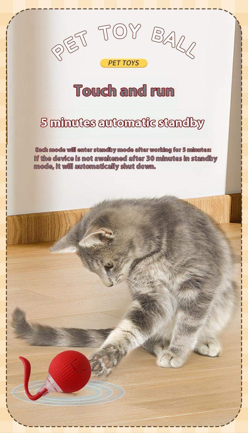 Automatic Pet Interactive Rolling Ball - Magic Tail Gray // Sublake 