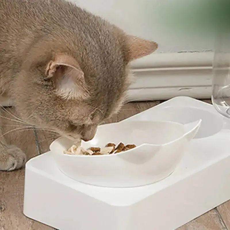 Dual-purpose Pet Bowl for Dogs & Cats with Cervical Protection - Sublake 