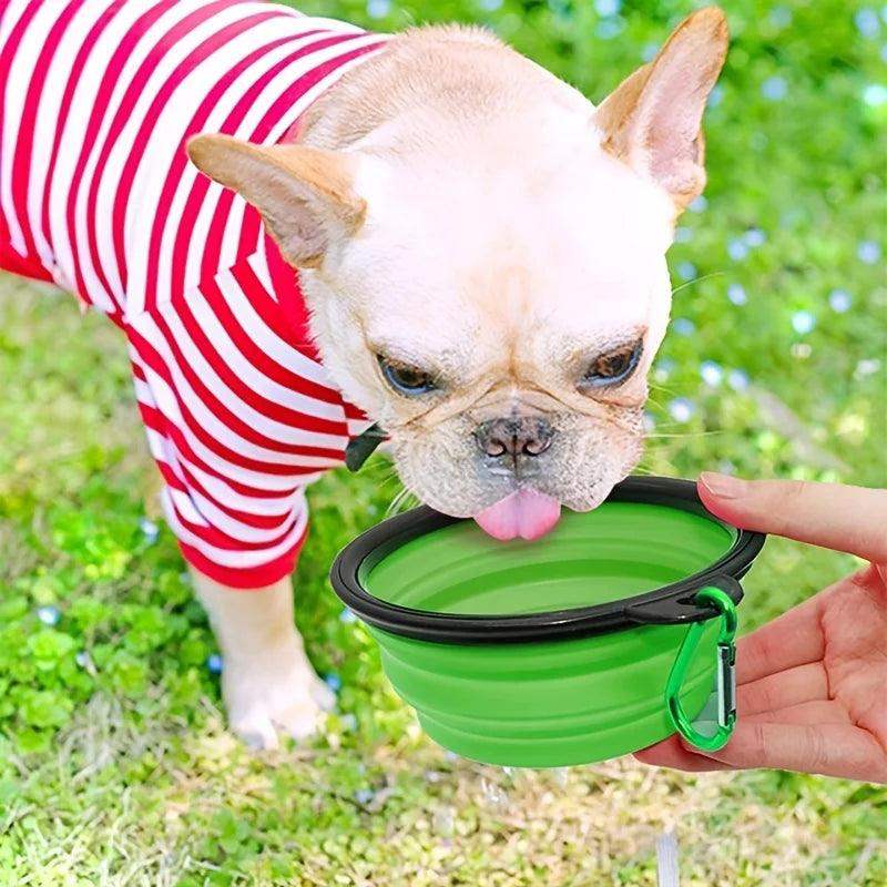 Portable Collapsible Pet Bowl – Silicone Dog & Cat Travel Bowl - Sublake 