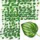 11M Artificial Plant Green Ivy Leaf Garland Fake Plant Creeper Hanging Vine Outdoor DIY Garden Wall Wedding Party Home Decor - Sublake 
