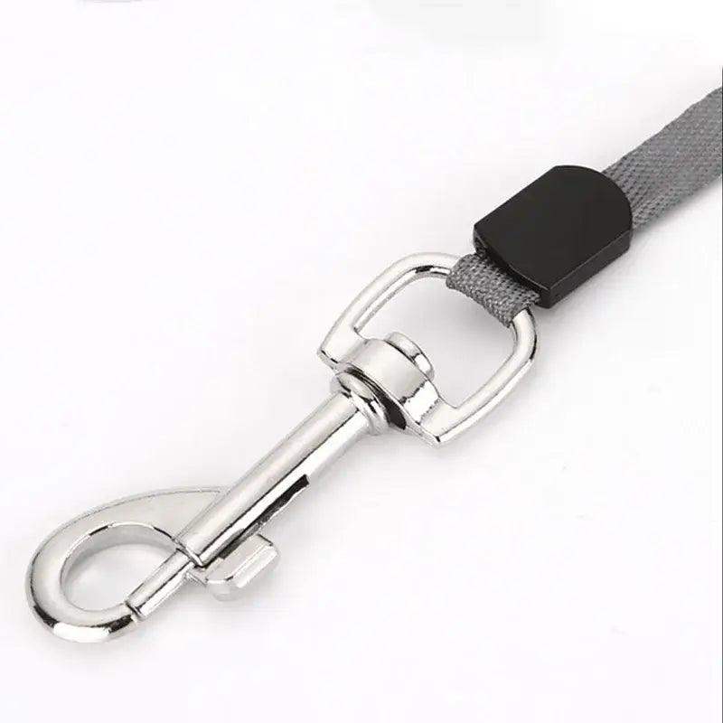 Retractable Dog Leash 3m 5m Auto Nylon Lead - Sublake 