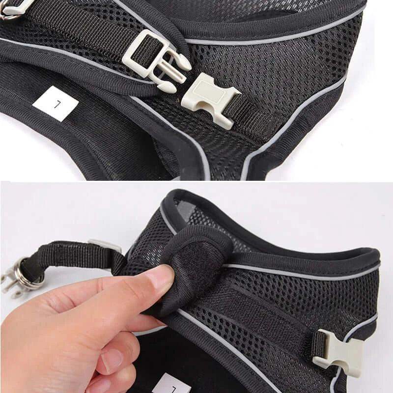 Reflective Harness Leash Set for Small Dogs - Sublake 