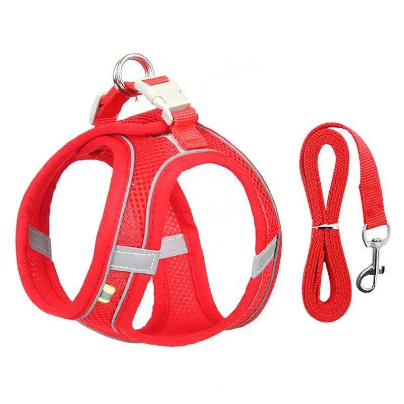 Reflective Harness Leash Set for Small Dogs - Sublake 