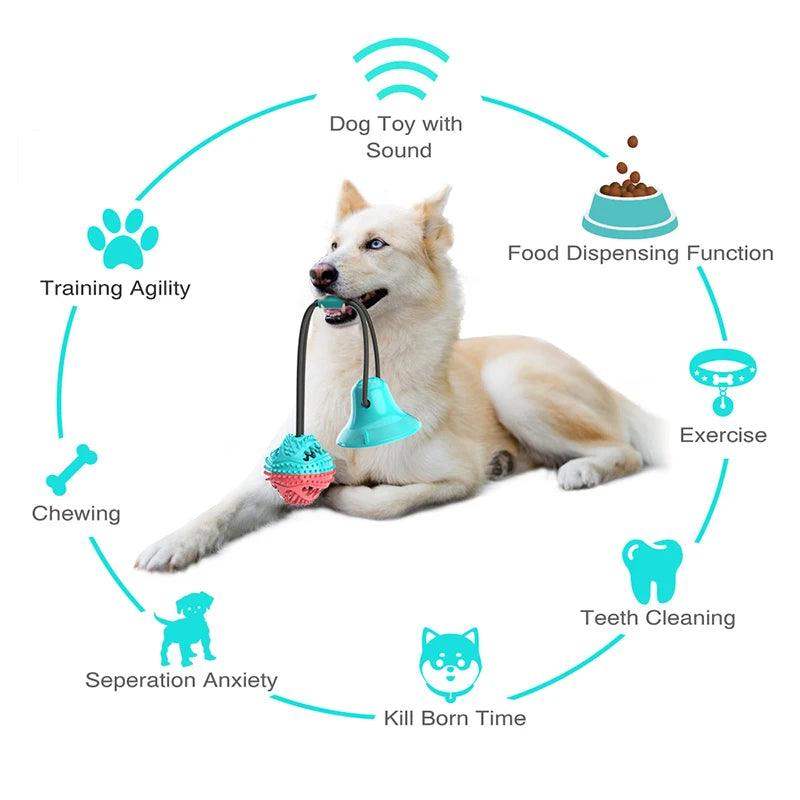 Interactive Dog Toy – Suction Cup with Rope & Slow Feeder - Sublake 