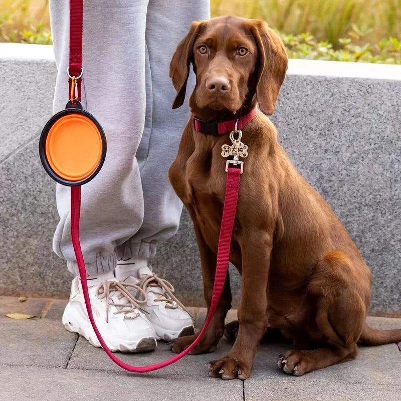 Portable Collapsible Pet Bowl – Silicone Dog & Cat Travel Bowl - Sublake 