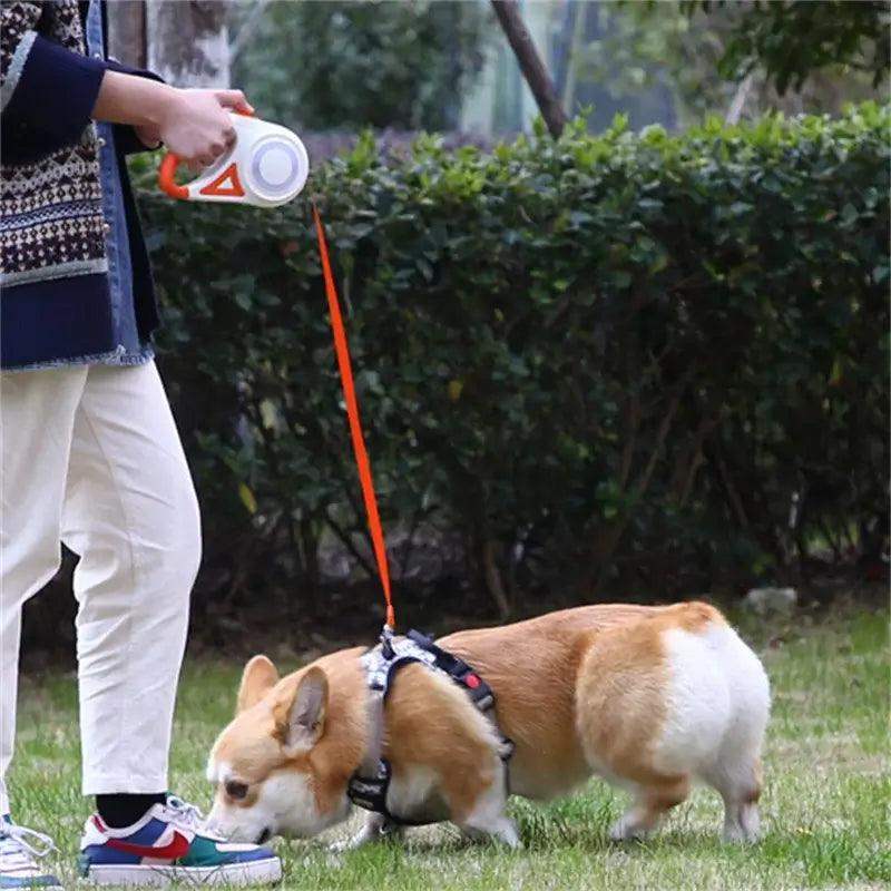 5M Retractable Dog Leash With LED Light - Sublake 