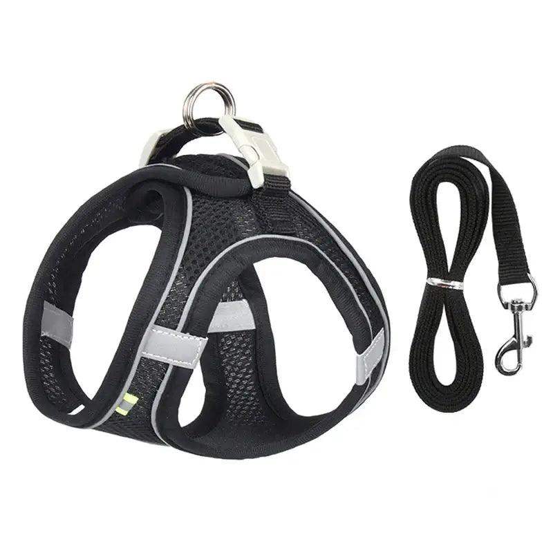 Reflective Harness Leash Set for Small Dogs - Sublake 