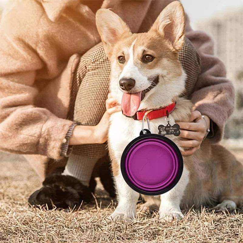 Portable Collapsible Pet Bowl – Silicone Dog & Cat Travel Bowl - Sublake 