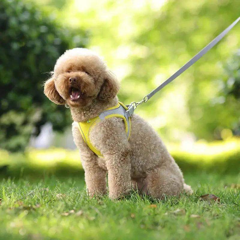Reflective Harness Leash Set for Small Dogs - Sublake 