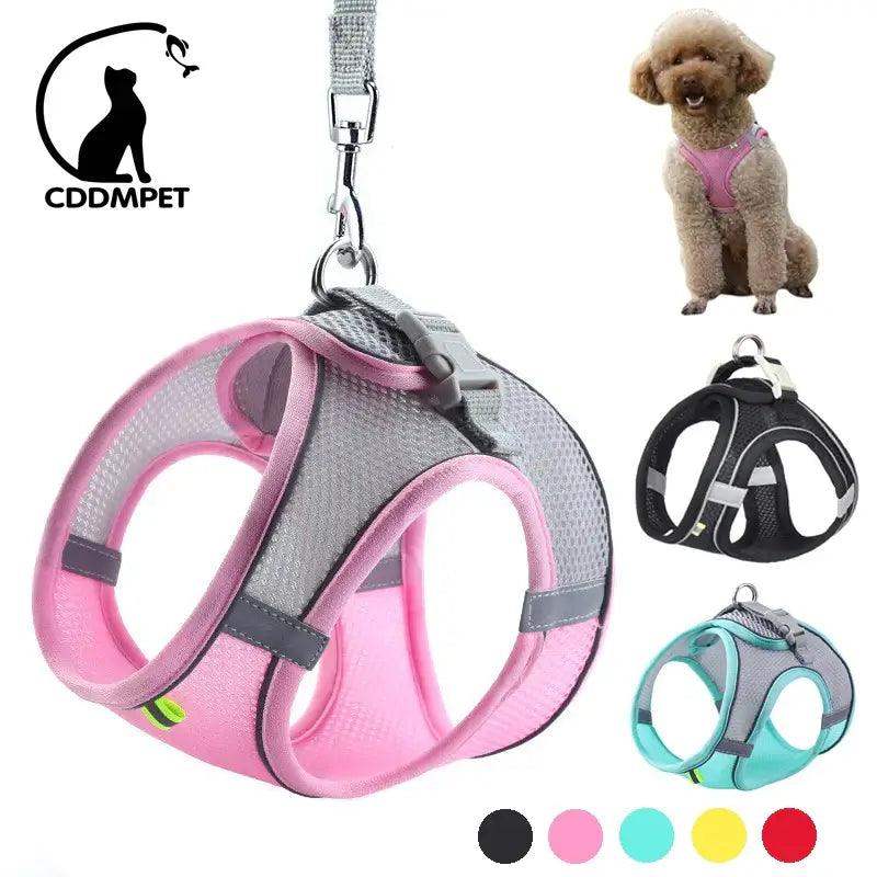 Reflective Harness Leash Set for Small Dogs - Sublake 