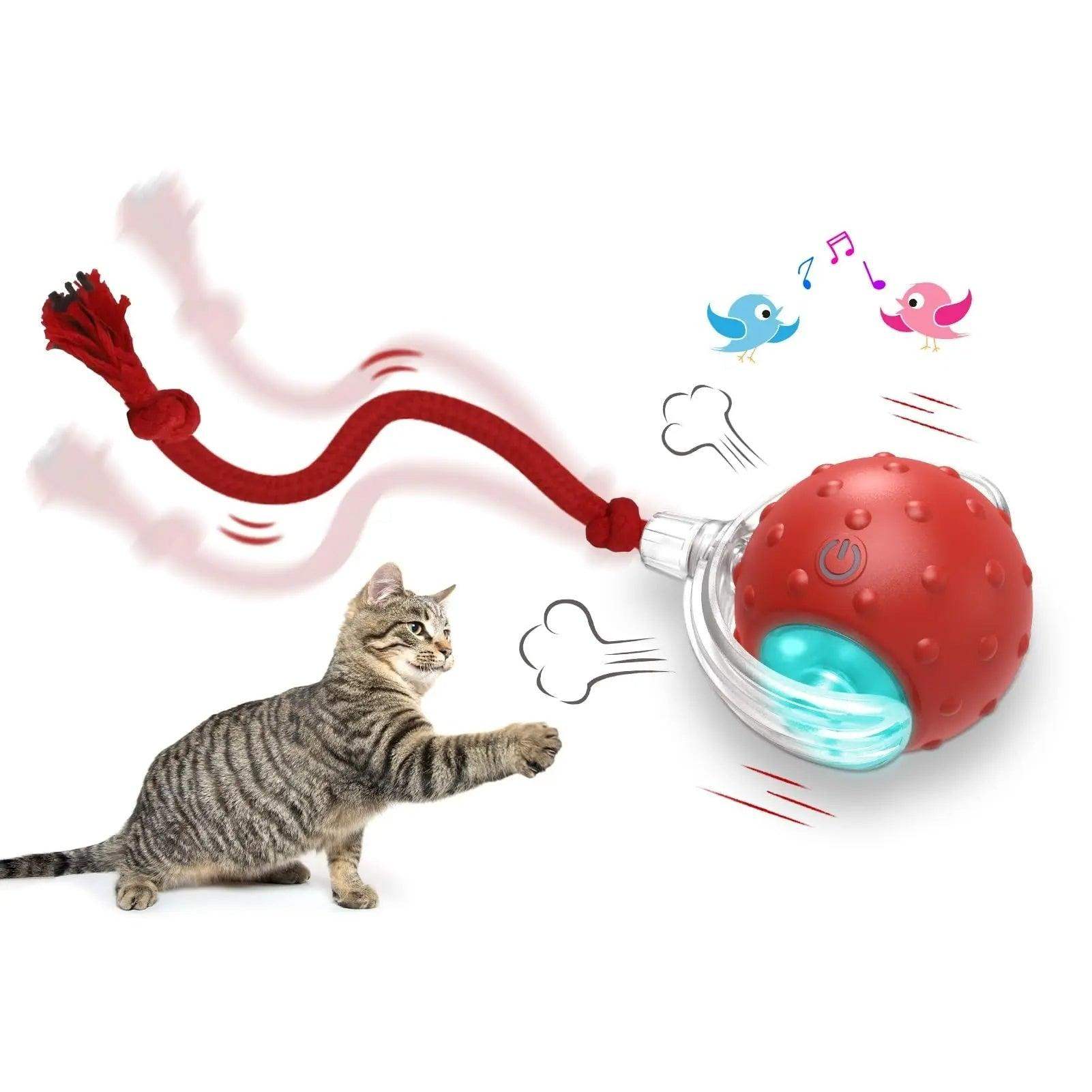 Automatic Pet Interactive Rolling Ball - Magic Tail Gray // Sublake 