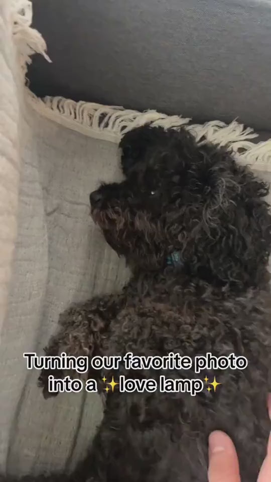 1.mp4